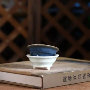 Colorful Ceramic Bonsai Flower Pot, Chinese Glass, Small Vase, Garden Table, Home Decoration