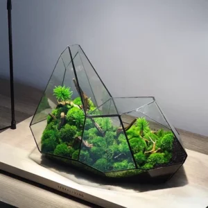 Micro Landscape Glass Vase Rainforest Terrarium Moss Planter Eco Vase Home Decor Geometric Glass Flower Room Hydroponic Vase