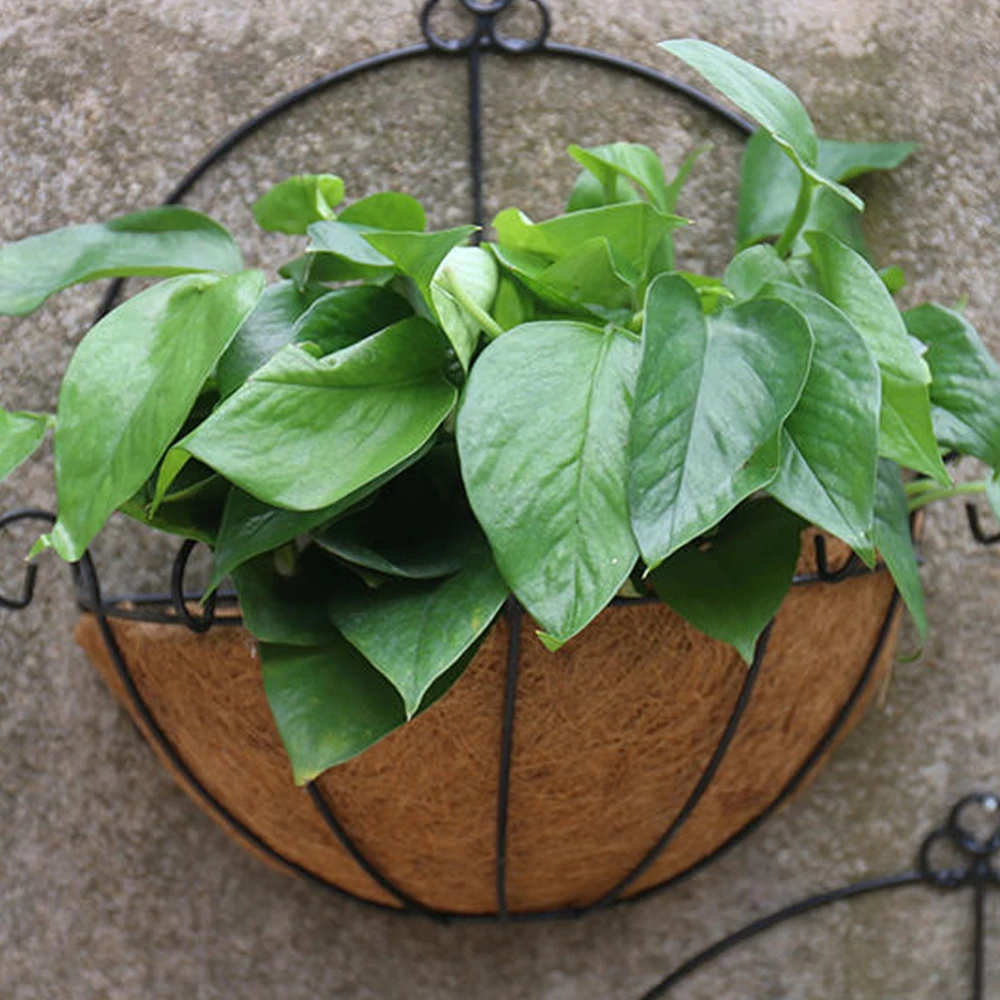 10/12/14 Inch Half Round Wire Plant Holder Metal Hanging Basket Coconut Liner Planter Flower Garden Pot for Home Balcony Decor L - Image 4