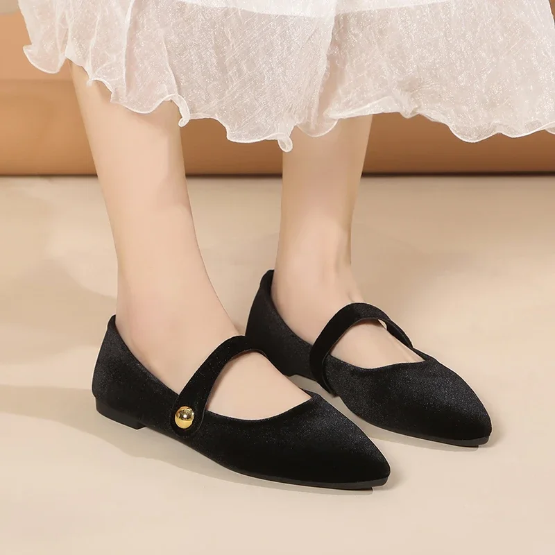 New Fashion Women's Pointed Toe Flat Shoes with Velvet Matte Finish Single Women Comfort Loafers Shoes Leather Mary Jane Shoes - Image 2