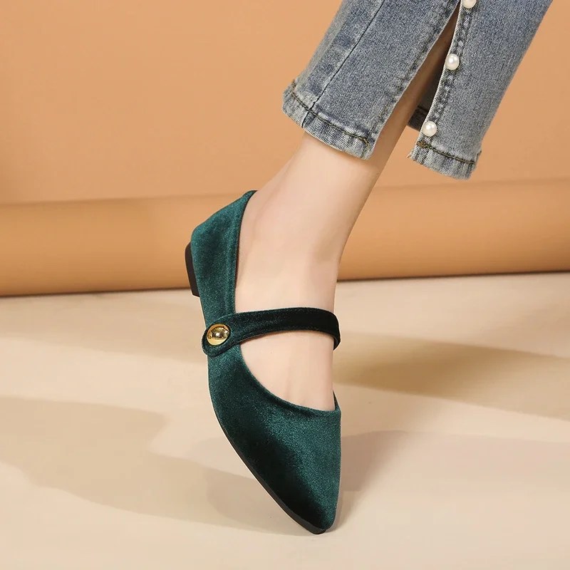 New Fashion Women's Pointed Toe Flat Shoes with Velvet Matte Finish Single Women Comfort Loafers Shoes Leather Mary Jane Shoes - Image 3