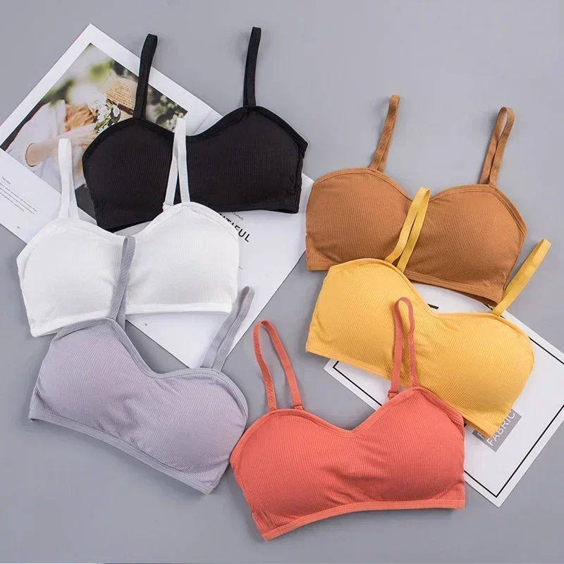 Female Solid Lingerie Wireless Bralette Women Rib Crop Tops Sexy Active Bras No Wire Push Up Bra Intimates Brassiere Underwear - Image 2