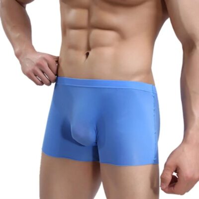 Men’s Seamless Silk Boxer Briefs – High Elastic U-Pouch Slim Fit Underwear