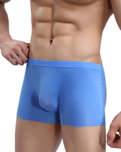 Men’s Seamless Silk Boxer Briefs – High Elastic U-Pouch Slim Fit Underwear