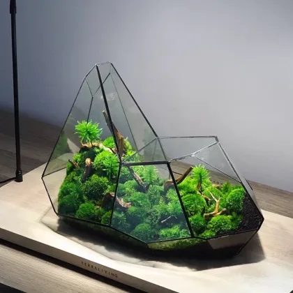 Micro Landscape Glass Vase Rainforest Terrarium Moss Planter Eco Vase Home Decor Geometric Glass Flower Room Hydroponic Vase