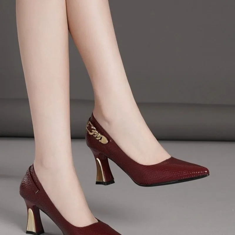 Basic Wine Snakeskin Leather Women Shoes Stiletto High Heels Pointy Toe Women Pumps Weddings Party Size 33-42 Shoes Woman - Image 5